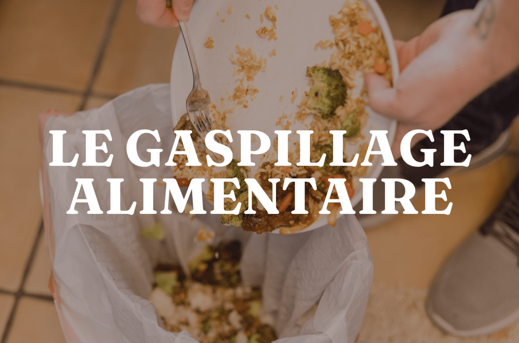 Le gaspillage alimentaire